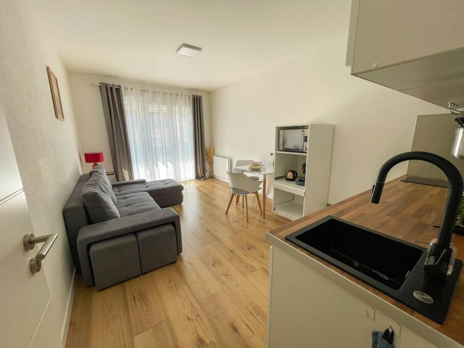 Le Lagon Bleu - Appt Wifi Parking Balcon Le Puy-en-Velay Extérieur photo