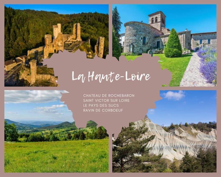 Le Lagon Bleu - Appt Wifi Parking Balcon Le Puy-en-Velay Extérieur photo